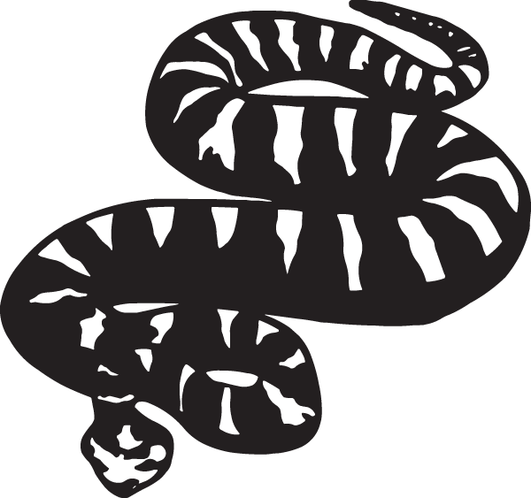 (image for) Sidewinder Decal