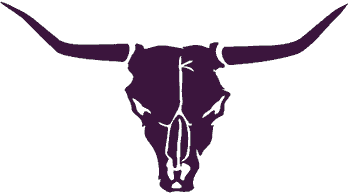(image for) Cow Longhorn Skull