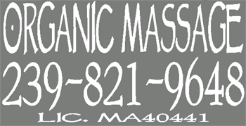 (image for) Organic Massage Decal Set